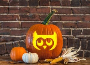 Owl Pumpkin