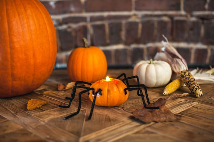 Spider Pumpkin