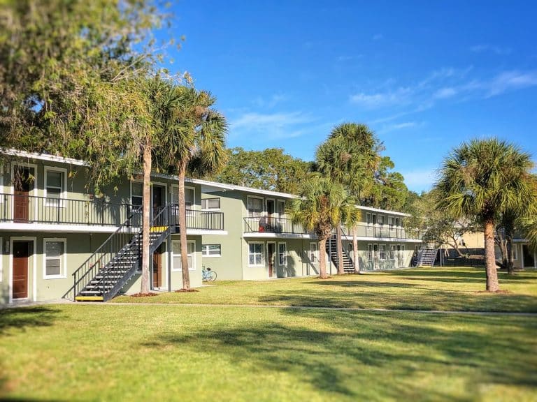 University Oak 768x576